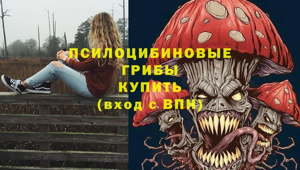 хмурый Балабаново